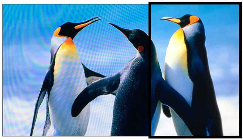 how to eliminate moire pattern on lcd display_3 how to eliminate moire pattern on lcd display_3