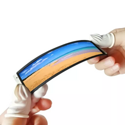 4 Inch OLED Screen for Wearable Devices.png