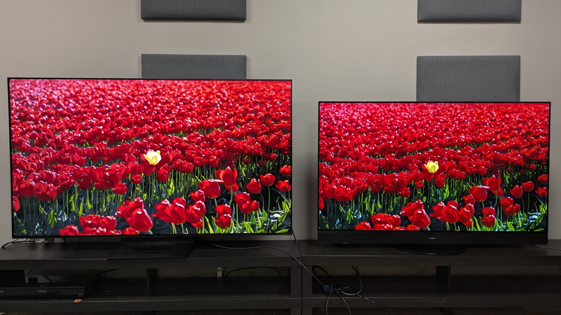 Is OLED Screen Bad for The Environment?