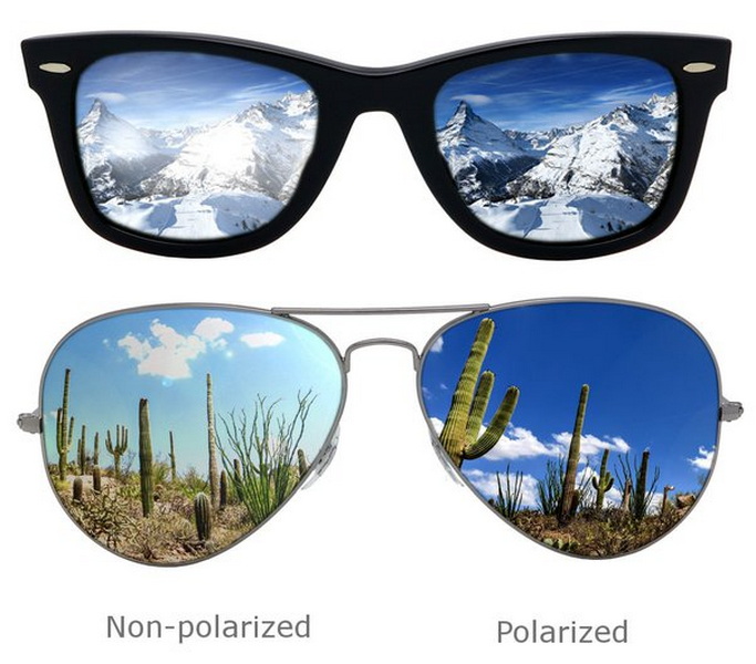 OLED Screen Sunglasses Visibility