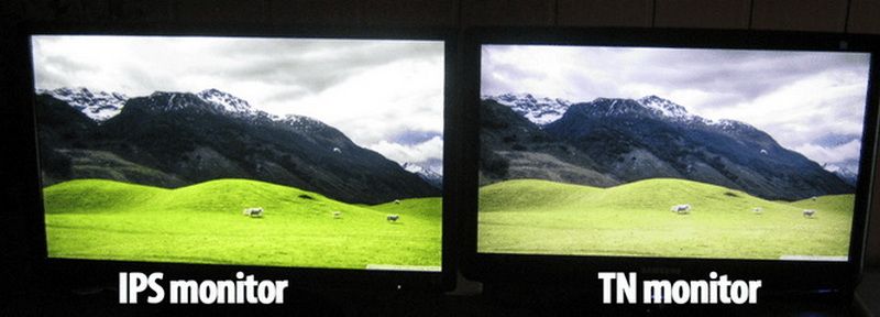 What Causes Gray Level Inversion in TN LCD Displays?