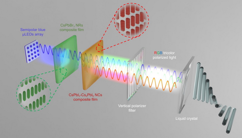 Reason For Polarization In LCD