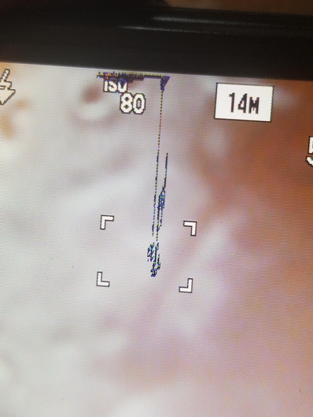 does an lcd display turn off black pixels_1