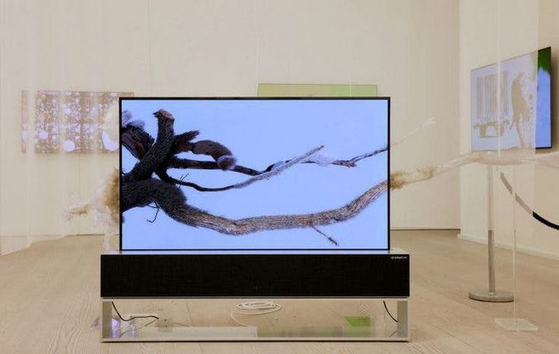 How To Get A White Screen on Lg OLED Tv?