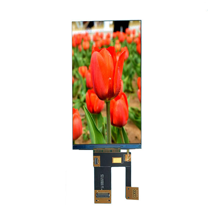 Why IPS LCD Module Clarity Sets It Apart From Other Display Options?