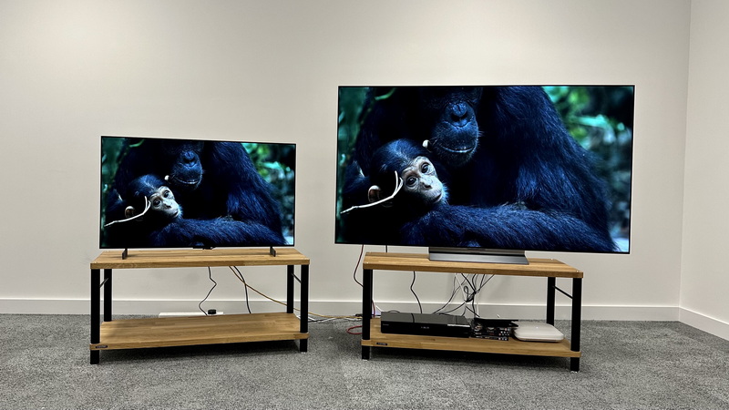 Turn On Screen Saver LG OLED TV