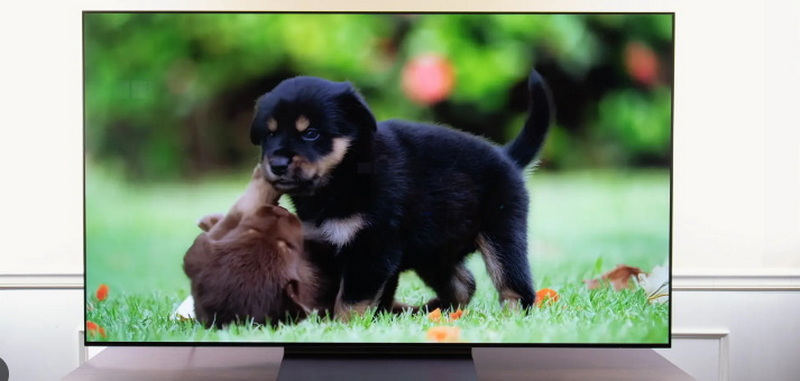 Is It Possible for OLED Screen To Leak Fluid?