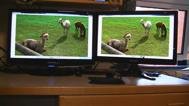 LED Or LCD Screen Quality