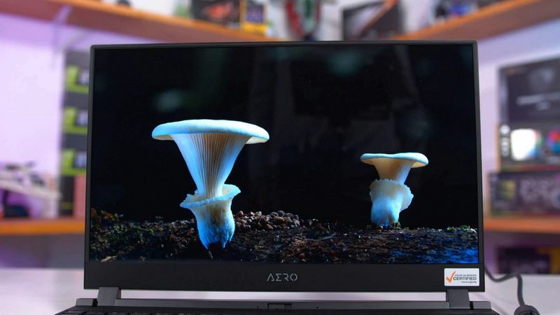 Does My Laptop Have OLED Screen