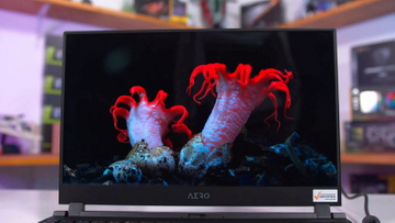how to know if you have a OLED screen.jpg