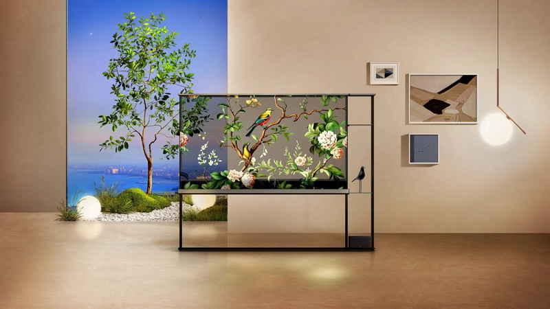OLED Transparency Features