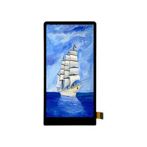 6.3 Inch Display Screen for Portable POS System